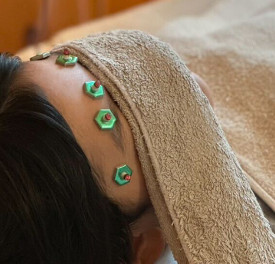 futaebori_menu_gansei